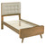 Robyn - 4 Piece Twin Bedroom Set - Light Ash