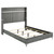 Lucia - Upholstered Queen Panel Bed - Gray