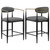 Tina - Fabric Upholstered Counter Chair (Set of 2) - Dark Gray