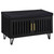 Brixton - 2-Door Padded Entryway Shoe Storage Bench - Black