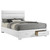 Felicity - Eastern King Storage Bed - White High Gloss