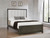 Gran Park - Queen Panel Bed - Dark Cocoa