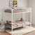 Alevera - Metal Twin Over Twin Bunk Bed With Ladder - White