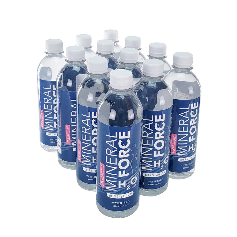 Mineral Force Water- 12pck of 16.9 fl oz