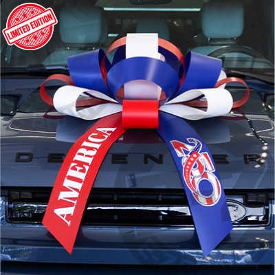 JUM-BOW Magnetic Car Bow