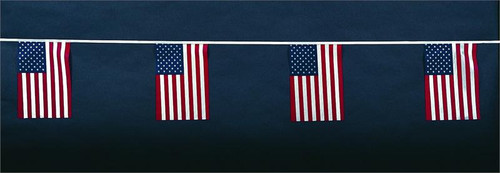 American String Pennants (polyethylene)