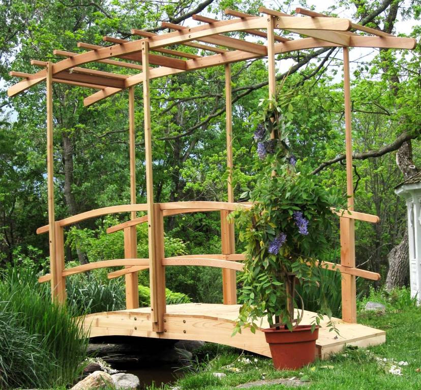 Cedar Wood Garden Bridge with Tall Canopy