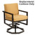 Woodard Furniture Salona Swivel Rocking Dining Chair Replacement Cushions