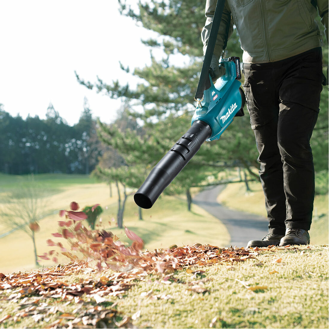 Bunnings Outlet Bunnings Ryobi Pole Hedge Trimmer Cordless Blower