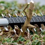 Bosch Hedge Trimmer 5Ah BL 18V GHE 18V-60 Kit