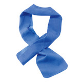 Ergodyne CHILL-ITS® 6602 Towel Cooling - Blue - ERECT6602BL0000