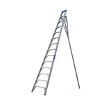 Order In - INDALEX AL 150KG Pro Series Orchard Ladder 4.3M - PROT14