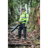 Order In - Dewalt 2X54V XR Flexvolt Backpack Blower - DCMBBL800N-XE