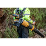 Order In - Dewalt 54V XR Flexvolt Backpack Blower - DCMBBL800N-XE