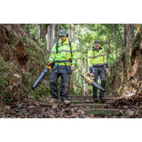 Order In - Dewalt 54V XR Flexvolt Backpack Blower - DCMBBL800N-XE
