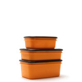 Order In - Rugged Xtremes Crib Container Set 350/650/1100 ML Orange 3 Piece - RX11L001OR