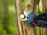 Order In - Bosch 18V 32mm Pro Pruner GGP 18V–32 - 06008D8200