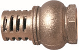 Order In - AAP Foot Valve - Screwed - BSP - Brass - 50mm - 2inch - VBF50