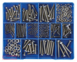 Order In - Champion Fasteners Machine Screw and Nut Kit - 304 Stainless Steel - BSW - 1/8 to 1/4" - 256 Pieces - CA1860 - Fixit - Champion