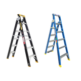 Dual Purpose Ladder