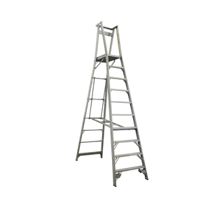 Order In - INDALEX AL 150KG  Pro Series Platform Ladder 3.0M - PROP13/10