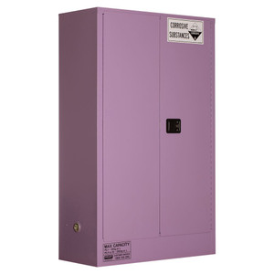 Order In - Pratt Corrosive Cabinet 250L 2D3S - 5545ASPH