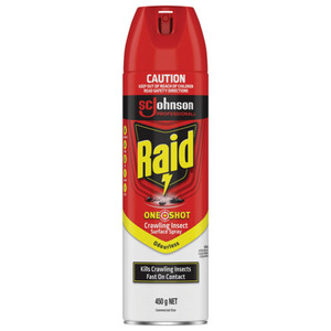 Order In -Raid - One Shot Crawling Insect Killer Odourless - 450G