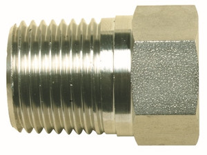 Order In - Dixon WIS GSO Plug - Screwed - Hexagonal - Screwed - BSP - 316 Stainless Steel - 2inch - SS16XP050