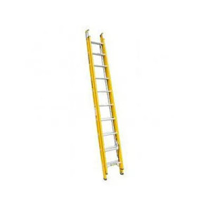 Special Order - Gorilla Extension Ladder 10/17 - FEL10/17-I