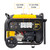 Special Order - Dewalt 7000W Electric Start Inverter Petrol Generator