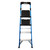 Order In - Bailey Twin Platform Ladder 4 Step 1.2m FG - FS14043