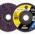 Order In - Alpha Clean & Strip Disc Purple ultra XTRA Bulk 125 MM - GSPD125PU