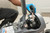 Order In - RIDGID K5208 Drain cleaning sectional machine kit with drum  cable carrier- 64073