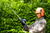 Order In - Bosch 18V 50cm Fixed Pole Hedge Trimmer GHE18V-50FP - 06008D5100
