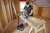 Order In - Bosch 18V 184mm Circular Saw GKS 18V-68 G - 06016C9140