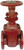 Order In - AAP Valve Gate - Os&Y - Class 601 - Cast Iron - 80mm - VC1GRS80E