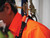 Order In - 3M Protecta P200 Riggers Harness - Full Body - Universal Size