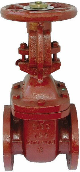 Order In - AAP Valve Gate - Os&Y - Class 601 - Cast Iron - 80mm - VC1GRS80E
