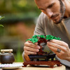 Bonsai Tree