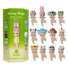 Sonny Angels Animal Series 1 Decorative Mini-Figures