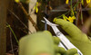 Leatherman Wave Plus