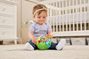 VTech Animal Discoveries Sensory Toy Ball