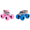 Monster Jam 1:64 Die Cast 2-Pack (Assorted)