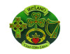 Ireland College Resin Magnet