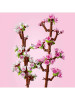 LEGO Botanicals Cherry Blossoms, Flowers Set 40725