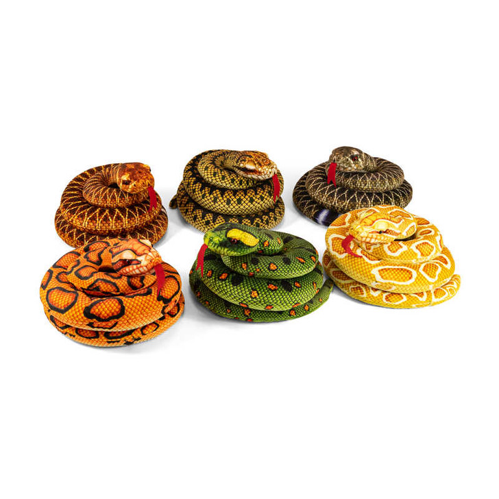 Snake 6 Assorted