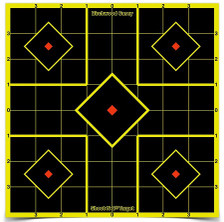 Birchwood Casey BC-34105 Shoot NC 8 In Sight-In 6 Targets-36 Pasters