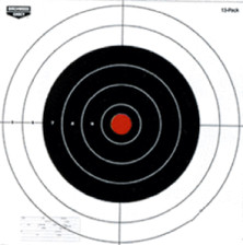 Birchwood Casey 12" Target 13 Pack