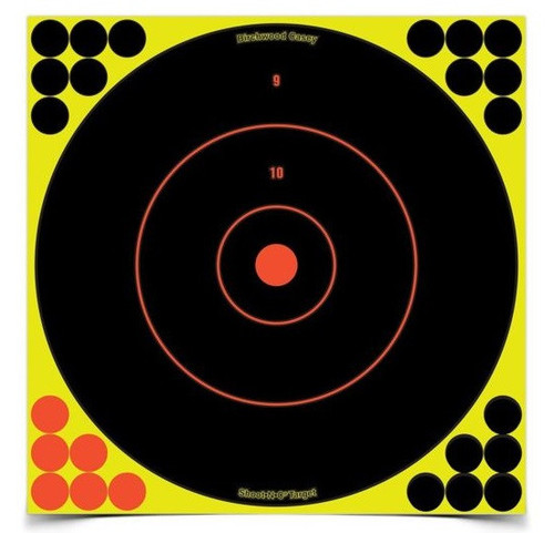 Birchwood Casey BC-34022 Shoot NC 12 Inch Bull's Eye Target 12 Targets-288 Pasters