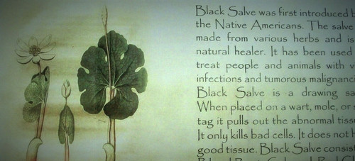 SPECIAL: Black Salve  for People & Animals, by Herbal Plus